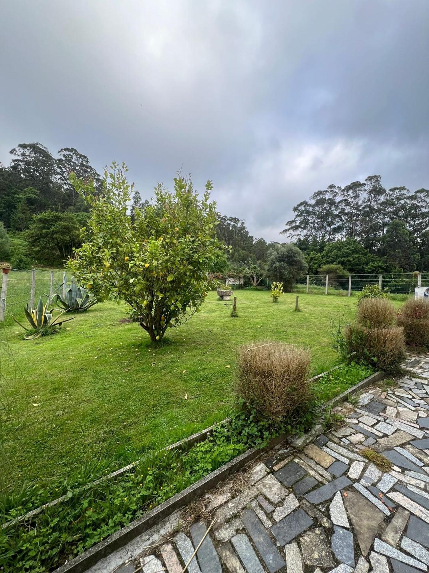 Casa De Campo Adosada Viveiro Eksteriør billede